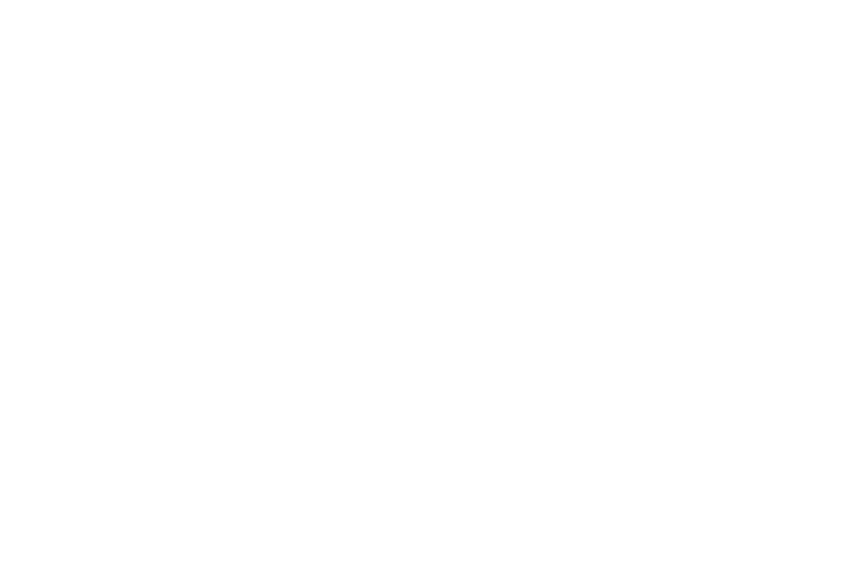 Solen Homes